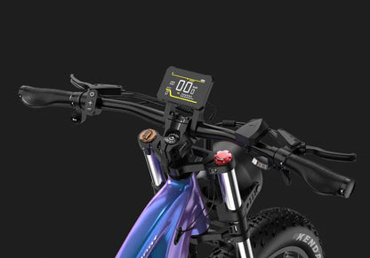DUOTTS E26 Electric Fatbike