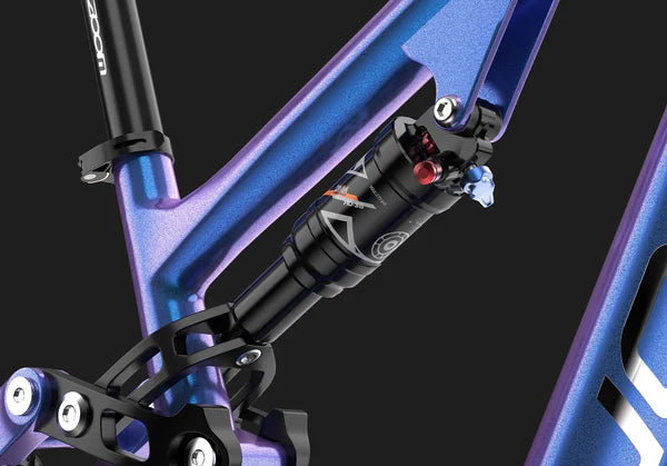 DUOTTS E26 Electric Fatbike