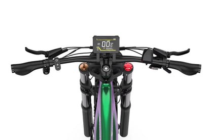 DUOTTS E26 Electric Fatbike