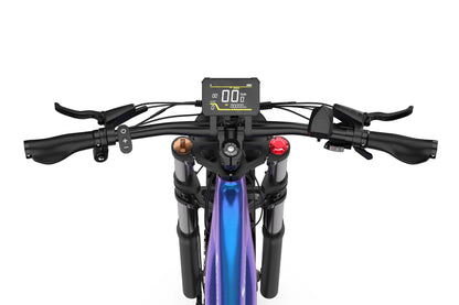 DUOTTS E26 Electric Fatbike