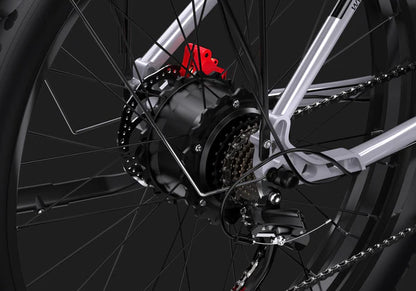 DUOTTS F26 Elektrische Fatbike