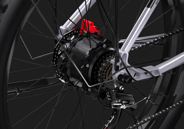 DUOTTS F26 Elektrische Fatbike