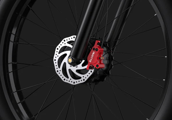 DUOTTS F26 Elektrische Fatbike
