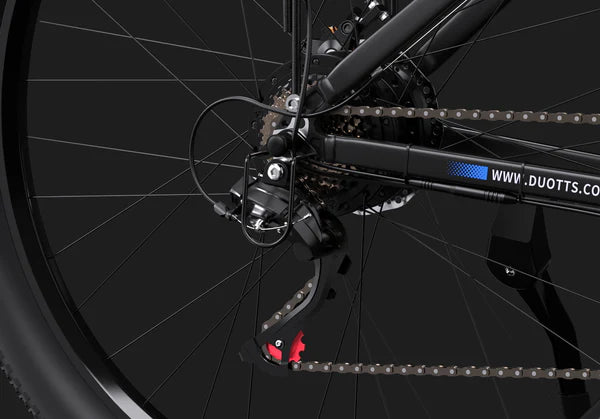 DUOTTS C29 Elektrische Hybride Fiets