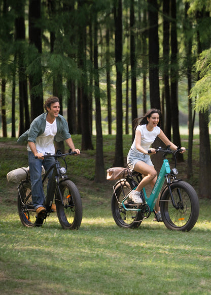 ENGWE E26 Fatbike