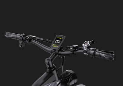 DUOTTS F26 Elektrische Fatbike