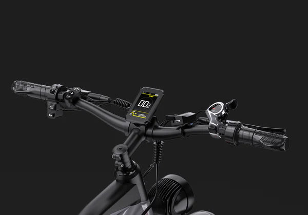 DUOTTS F26 Elektrische Fatbike